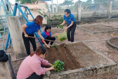 Hoạt động trồng rau cho trẻ trải nghiệm của Đoàn Thanh Niên Trường Mầm Non Ia JLơi